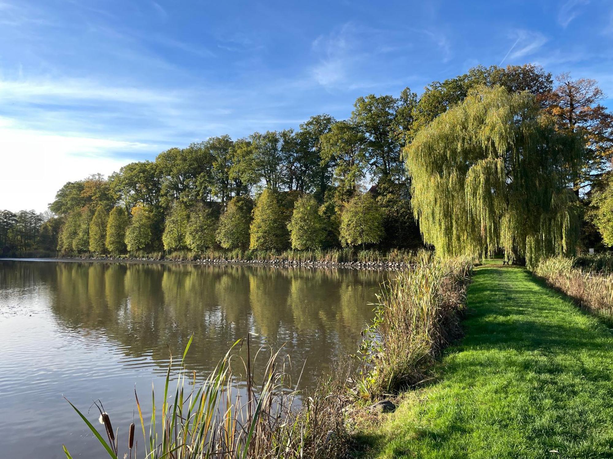 Naturnahe Unterkunft In Der Burgenstadt Schlitz Extérieur photo